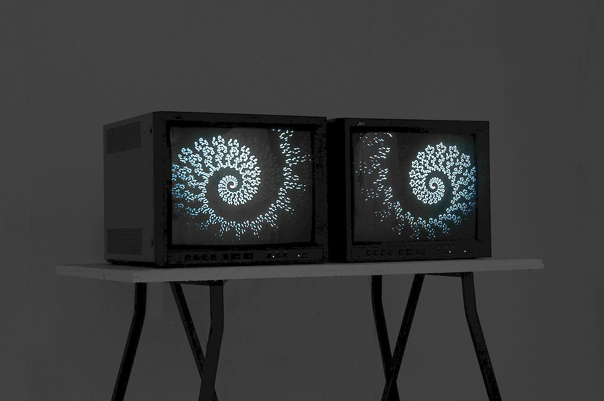 Disinformation "Ammonite" video installation
