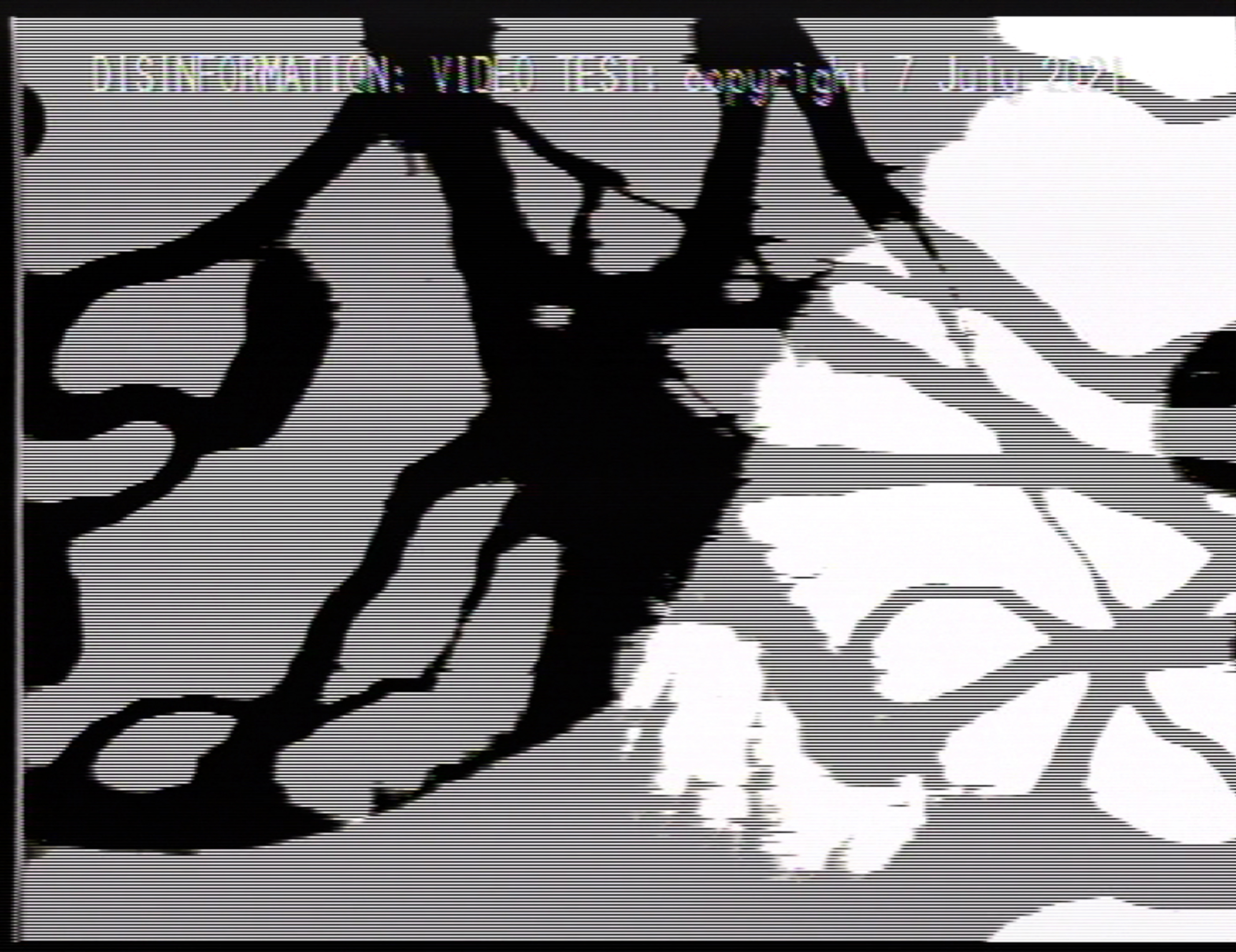 Disinformation_7_July_2021
